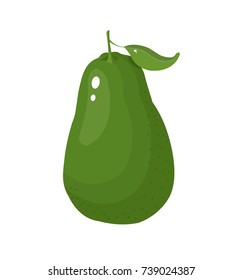 avocado vector illustration