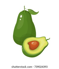 avocado vector illustration