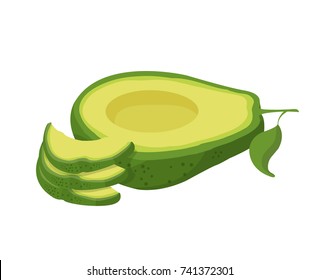 avocado vector illustration