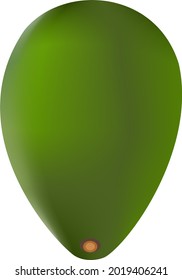 Avocado vector illustration, 3D effect object