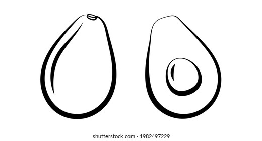 avocado vector illustration artline of half cutted avocado with the seed on white background