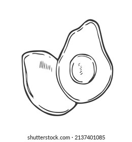 Avocado vector illustration with black hand drawn style isolated on white background