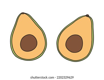 Avocado - vector illustration in cartoon style. Objects isolated on white background. Vector isolated icon.