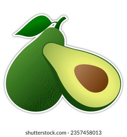 avocado vector illustration design background