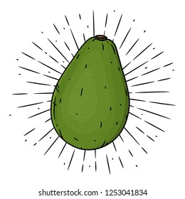 Avocado. Vector illustration with Avocado and divergent rays. Used for poster, banner, web, t-shirt print, bag print, badges, flyer, logo design and more.