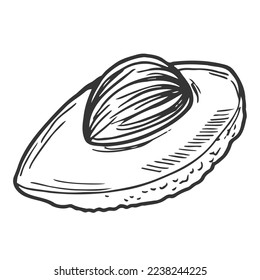 Avocado-Vektorgrafik im Doodstil