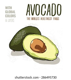 Avocado. Vector illustration Eps10 file. Global colors&layers.