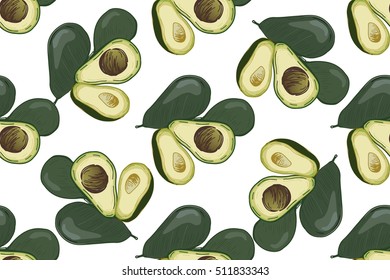 Avocado vector  illustration. Food background.