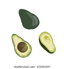 Avocado vector illustration. Food background.
