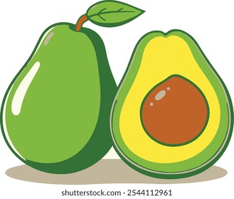 Avocado Vector illustration fruit  Avocado 