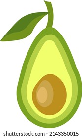 Avocado, Vektorgrafik. Obstgrafik einzeln auf weißem Hintergrund. Für die Gestaltung von Drucke und Plakaten, Verpackung, Logos und Tags, Café-Menüs, Kleidung, Bauernläden. 