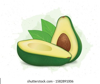 avocado vector illustration with half cutted avocado with green leaf on white background