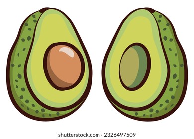 Avocado vector illustration half slice healthy fruit