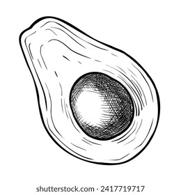 Avocado vector illustration. Hand drawn linear drawing on isolated background. Engraving of Half a Fruit with a seed. Vegetable botanical etching for food packaging design. Sketch of a plant.