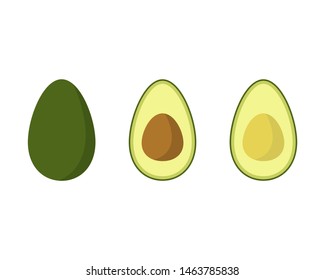 Avocado vector illustration isolated on white background