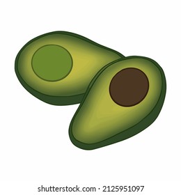 Avocado vector illustration isolated on white background.