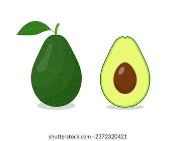 Avocado vector illustration isolated on white background