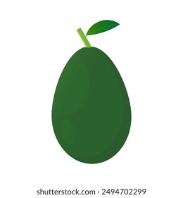 avocado vector illustration. Illustration isolated on white backgrounds