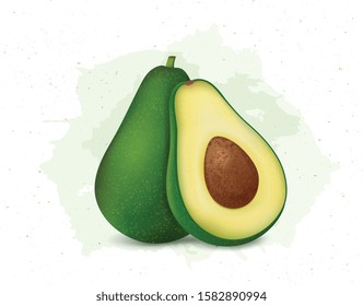 avocado vector illustration on white background