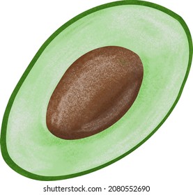 avocado, vector illustration on a white background