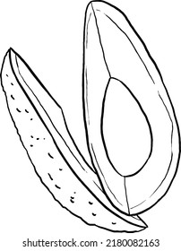 Avocado vector illustration outline. Perfect for practicing coloring, drawing, printing, wallpaper, prints, cards, etc.