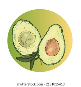 Ilustración vectorial de aguacate. Sliced・avocado como emblema, en blanco para los diseñadores