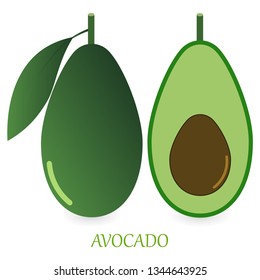 Avocado. Vector illustration of tropical avocado fruit icon in flat style.