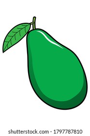 An avocado vector ilustration,isolated on white background for children education,fruits top view