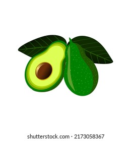 avocado vector image with leaves on white background 