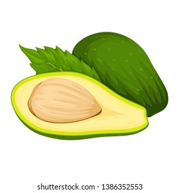 Avocado Vector isolated on White Background