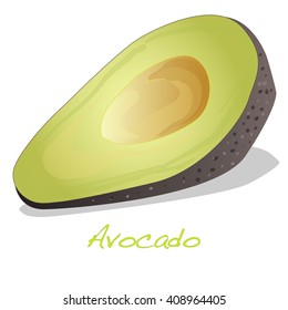 Avocado vector isolated on white