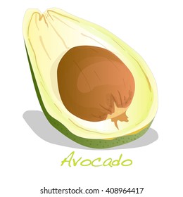 Avocado vector isolated on white