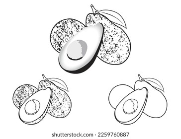 Avocado Vector, Umriss-, Zeichnen-, süße Linien- und Illustrationskunst
