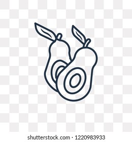 Avocado vector outline icon isolated on transparent background, high quality linear Avocado transparency concept can be used web and mobile