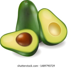 Avocado vector realistic isolated on white 3d illustration