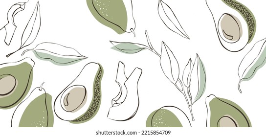 Avocado vector set. Whole avocado, sliced avocado, half and leaf. Tropical summer fruit engraved illustration style.
