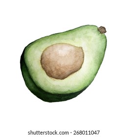Avocado vector watercolor illustration. Isolated on white