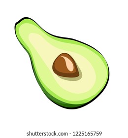 Avocado Vegetable in cartoon style for your design. Vector Illustration on white background eps 10