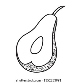 Avocado vegetable fresh food icon