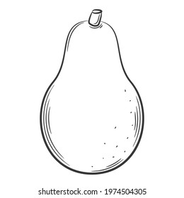 Avocado. A vegetable in a linear style, drawn by hand. Food ingredient, design element. Line art. Black and white vector illustration. Isolated on a white background