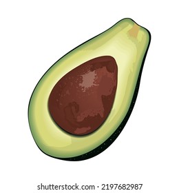 icono de avocado vegetal realista aislado