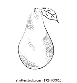 Avocado. Vegetarian, vegan, healthy food. Black and white hand drawn charcoal drawing. Vector illustration. Isolated on white.