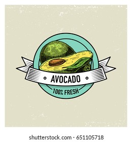 Avocado Vintage, hand drawn fresh fruits background, summer plants, vegetarian and organic citrus and other, engraved.