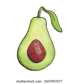 Avocado watercolor. Half an avocado with a leaf. Large fruit bone. Green berry. Vector illustration.