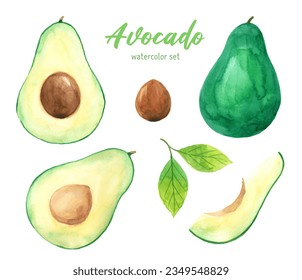 Avocado watercolor hand painting illustration set