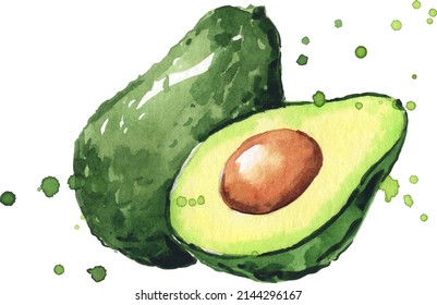 Dibujo de acuarela de aguacate pintado a mano