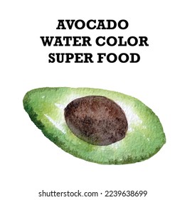 avocado watercolor painting  vector super food healthy