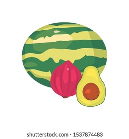 avocado watermelon onion fresh food vector illustration