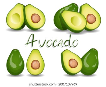 Avocado. Ganzes Avocado und Avocado im Schnitt. Früchte, gesunde Ernährung, Diätkonzept. Einzige Vektorgrafik.