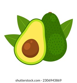 Avocado whole fruit and half isolated on white background. Persea americana, alligator or avocado pear icon. Organic food, healthy nutrition, vegetarian product. Vector flat illustration.